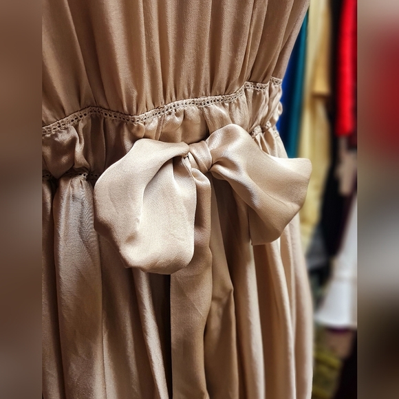 Beautiful Champagne Silk Banana Republic Dress size 10 - Picture 4 of 8